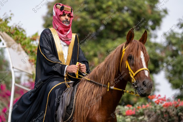 A rider in traditional attire, consisting of a white robe under a black cloak embroidered with golden threads, wearing a red headscarf with a black band, riding a brown horse with a background of shrubs and coral-colored flowers.