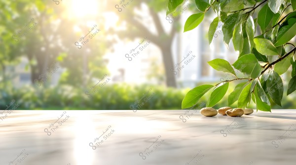An image featuring a marble surface in the foreground with several small stones placed on it. In the background, green leaves dangle from above, with sunlight filtering through the leaves, creating a hazy effect against the lush natural backdrop.