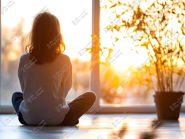 A child sitting cross-legged on the floor, looking out the window with sunlight streaming in, possibly at sunset or sunrise. The child is wearing a long-sleeve shirt and long pants, with plants visible beside them in silhouette.