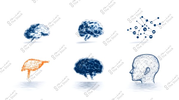 An image depicting various representations of the human brain and head. The brains are shown in different colors and designs, including a 3D wireframe style. The top right features interconnected symbols resembling a network of ideas or data.