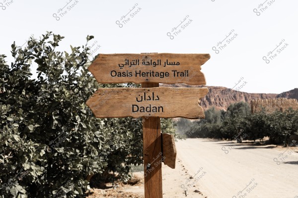 ‏The images showcase various scenes from AlUla Oasis and the Dadan Trail, where breathtaking nature blends harmoniously with traditional architecture. The serene outdoor seating areas, surrounded by palm trees and sandstone mountains, create a perfect backdrop to enjoy the beauty of nature. The mudbrick pathways and old houses highlight the charm of heritage architecture and the intricate details of traditional construction, reflecting AlUla’s rich history.