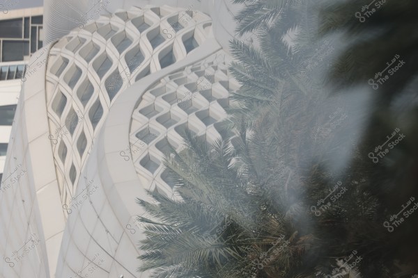 An image of a modern architectural building with intricately designed facades featuring angular glass patterns. The structure exhibits interwoven and repetitive shapes in white and glass colors. In the foreground, a green palm tree with long, interlocking leaves partially obscures parts of the building.