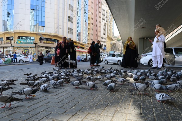 A scene of pigeons gathered on the ground in a busy street under a bridge, where several people are standing to watch the birds. A man holds a child dressed in traditional white clothing next to a car. Two women in black abayas interact with the birds in the foreground. Modern buildings and shops depict an urban area in the background.