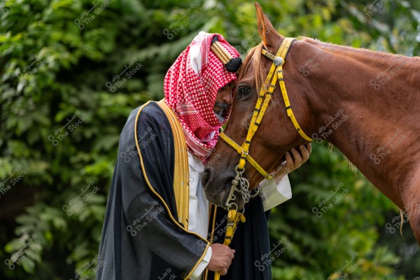 A man wearing traditional Saudi attire featuring a white thobe with a black overgarment adorned with gold trim and a red and white headscarf. He stands beside a brown horse with a yellow bridle, touching his head to the horse\'s head in a gesture of affection and connection. The background consists of dense green foliage.
