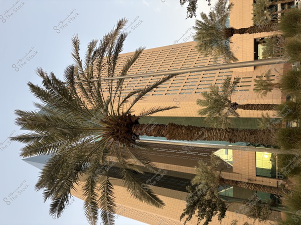 سماء الرياض ظهرا قبل رمضان بليلة بجمالها بدون الشمس