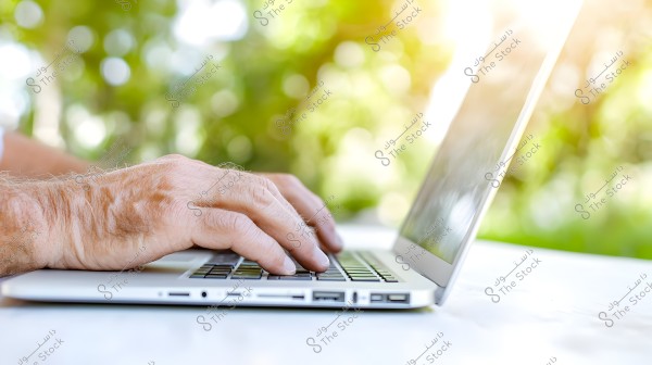 An older person\'s hands typing on a silver laptop keyboard outdoors. The background is blurred with green foliage illuminated by sunlight.