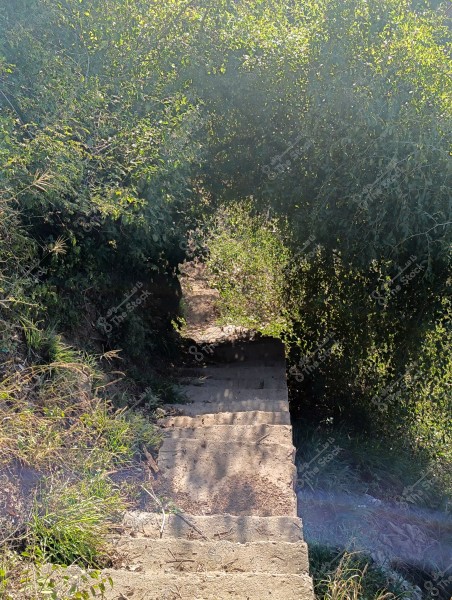 تظهر الصورة درجاً حجرياً ضيقاً ينحدر بين الأشجار الكثيفة والنباتات الخضراء.