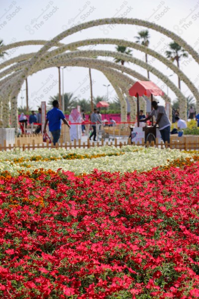 فعاليات مهرجان الزهور، حديقة المناسبات بمدينة ينبع الصناعية، معارض ومهرجانات طبيعية سياحية في المملكة العربية السعودية، الحفاظ على البيئة والتنمية المستدامة، وجهه عائلية ثقافية وترفيهية