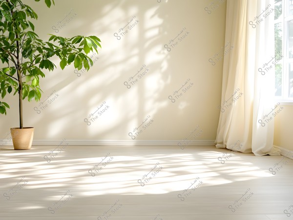 An image of a bright room with light colors, featuring a green plant in the corner in a brown pot. The walls are painted a light beige, and a sheer white curtain hangs over a window in the right wall. Sunlight casts shadows of the plant and the curtain on the light wooden floor.