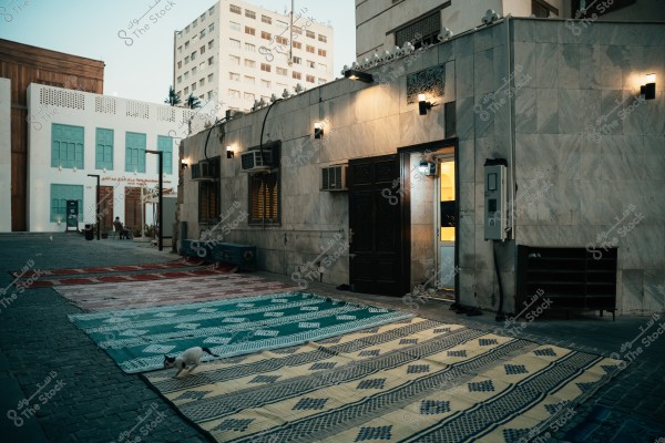 The image shows a courtyard in front of a tiled building with illuminated wooden doors. Colorful rugs are laid out along the street, and a black and white cat is walking on one of them. The building has small windows and there are modern buildings in the background with blue shutters. One of the buildings displays the phrase \"Mohammed Saleh Ba\'Arheemeen Documentation Center\" near a seated person.