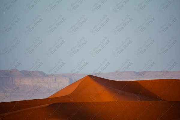 A beautiful shot of the sand dunes in Saudi Arabia, and the Tuwaiq Mountains appear behind them, the golden sands in the Saudi desert. Wild life