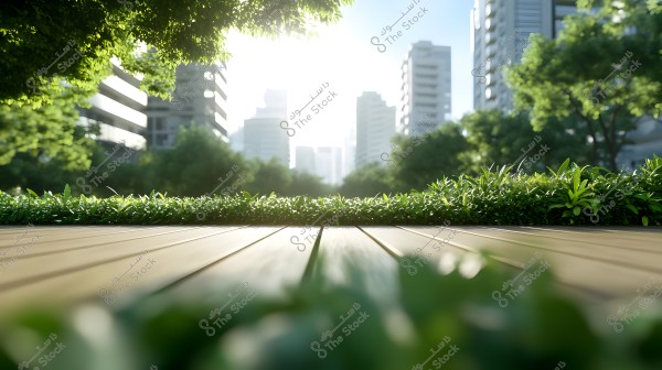 A cityscape of a modern city featuring a wooden walkway in the foreground flanked by lush green plants. In the background, several tall buildings are surrounded by dense greenery. The sky is bright and illuminating, suggesting it is morning or afternoon.