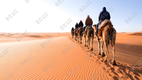 A group of people riding camels in a single file on a sandy path in a vast desert. The sky is clear and blue with no clouds. The riders are wearing warm winter clothing in various colors, and footprints are visible in the sand behind them.