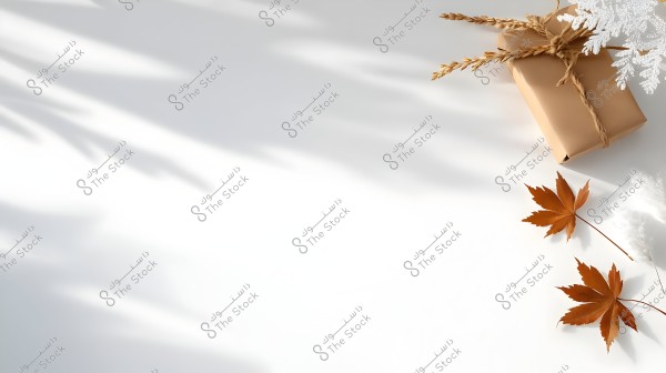 An image of a white surface with decorative elements. In the top right corner, there is a box wrapped in brown paper, adorned with natural twine and dry wheat stalks. There are white glittery decorations beside the box. At the bottom right corner of the image, there are two brown autumn leaves.