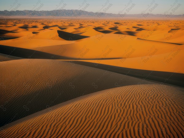 لقطة للكثبان الرملية الذهبية في الصحراء السعودية وتظهر السماء صافية  نهارًا ، الربع الخالي ، مناطق صحراوية، مصممة بواسطة الذكاء الاصطناعي