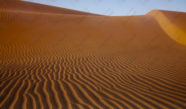 لقطة للكثبان الرملية الصحراوية بالسعودية وتبدو السماء شبة صافية ، الرمال الذهبية في صحراء السعودية ، الربع الخالي ، مناطق صحراوية