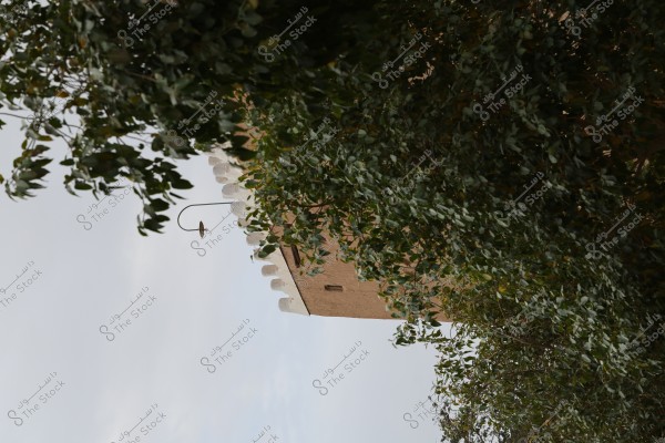 An image depicting a corner of a traditional building with old architectural style, featuring some decorative elements on the roof. The building is surrounded by dense trees with green leaves. In the center of the image, there is an old-fashioned street lamp with a metallic color.