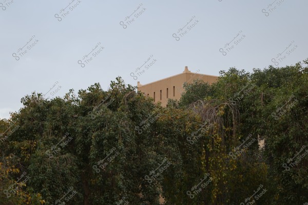 The image shows a sand-colored traditional building with small balconies, behind dense green trees. The sky is overcast with light clouds, creating a tranquil atmosphere.