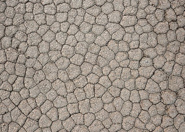 قاع الصنيع في محمية شرعان الطبيعية