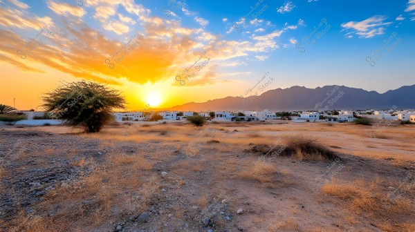 Sunset over a desert area with low white buildings on the horizon. The sky is a vivid blue with orange clouds creating a picturesque natural scene. In the foreground, there is dry land with scattered shrubs and a few trees. Dim mountains are visible in the background.