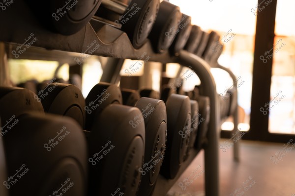 A rack filled with various dumbbells in a gym. The image shows round weights placed on a metal rack in a naturally lit environment, with warm light reflecting through a large glass window in the background.