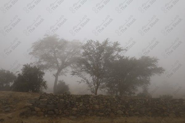 مدينة الباحة الجميلة - ضباب و سحب وطبيعة ساحرة - معالم سياحية المملكة العربية السعودية