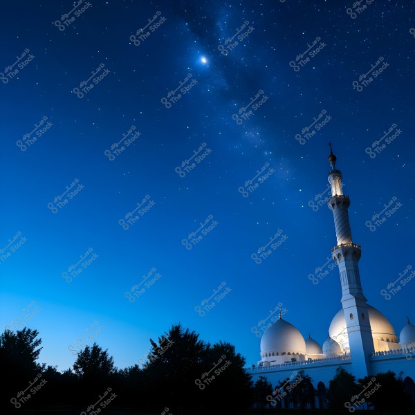 The image shows a nighttime view of a mosque with white domes and an illuminated minaret, set against a starry sky. The lower horizon features a line of dark trees, while the domes and minaret occupy the right side of the frame with a distinctive Islamic architectural style. The deep blue sky is adorned with numerous twinkling stars.