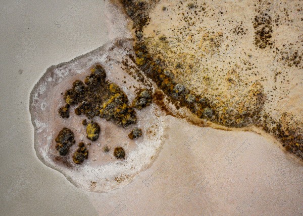 قاع الصنيع في محمية شرعان الطبيعية