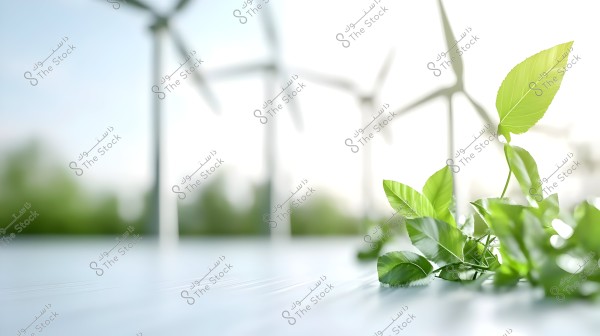 The image shows a group of green plant leaves in the foreground, with large wind turbines blurred in the background. The scene embodies the concept of renewable energy and a clean environment, where the clarity of the green leaves contrasts with the hazy turbines in the bright light.
