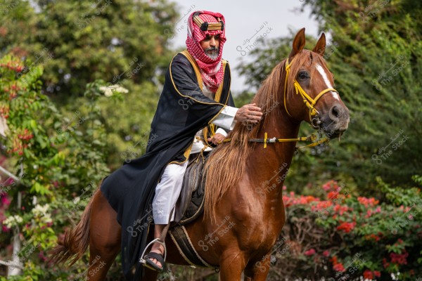 A man in traditional attire with a black bisht and a red and white checkered keffiyeh, riding a brown horse with a yellow bridle. The background features lush green trees and multicolored flowers.