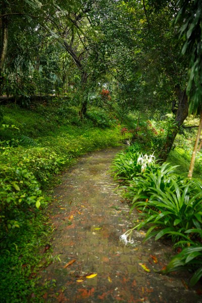 A shot of one of the bird gardens surrounded by trees and green plants, artificial gardens.