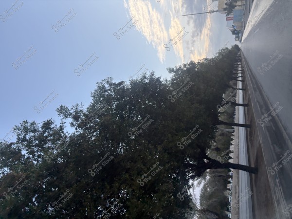 صباح الرياض بعد امطار ثلاث ايام