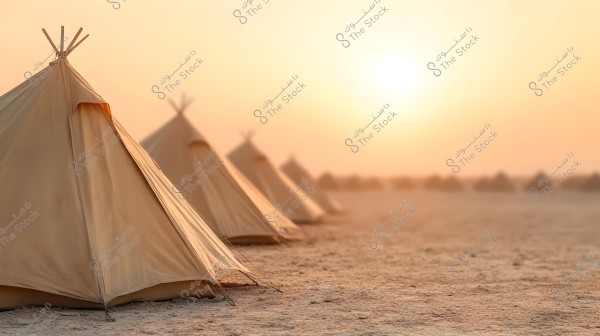 A row of traditional beige canvas tents stand on an open desert landscape. The sun is setting on the horizon, casting a calm orange sky.