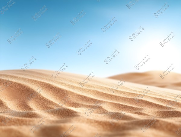 An image of a desert landscape with golden sands stretching to the horizon under a clear blue sky. The bright sunlight in the background gives a shimmering effect to the rippling sands.
