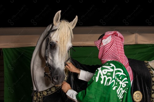 فارس سعودي يرتدي الزي السعودي التقليدي و يحمل علم السعودية حول كتفة, ممسك بخيل عربي اصيل في احد الاسطبلات، تعلم الفروسيه، ترويض الخيل، الخيل العربي الأصيل ، هواية ركوب الخيل.