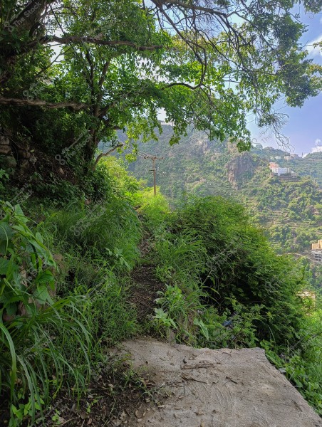 A narrow path runs through a lush forest with dense green vegetation and trees on either side. In the background, hills covered in foliage and small white buildings are visible under a clear blue sky.