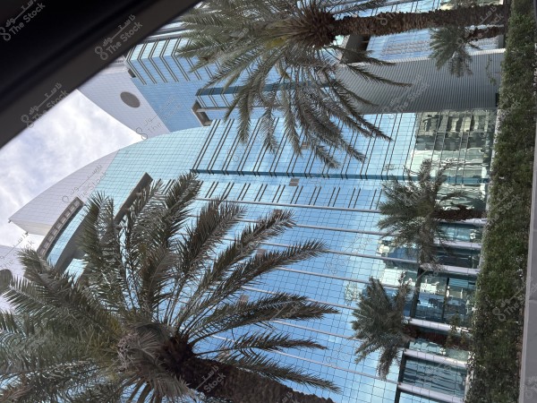 الرياض صباح ثاتي العيد بجمالها