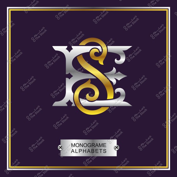 تصميم حرف مزخرف يجمع بين حرفي E و S بألوان فضية وذهبية على خلفية داكنة مع إطار ذهبي.