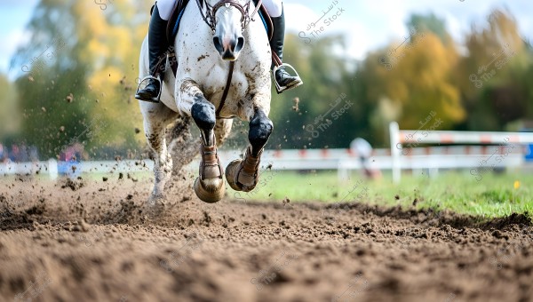 An image of a horse skillfully galloping on a dirt track, with spots of mud flying from its hooves, indicating speed and power. The rider is wearing traditional riding attire, including riding boots and safety gear, while part of the obstacle railing is visible in the background along with greenery and autumn trees.