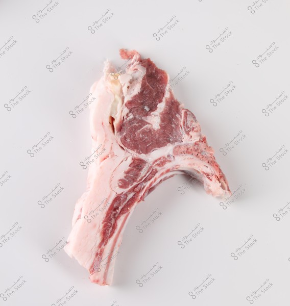 A raw meat chop with bone and some fat displayed on a white surface. The piece shows color variations ranging from red to pink.