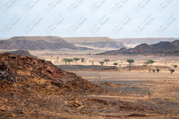 A shot of a desert during the day, showing rocky masses, trees and mountains, the Empty Quarter, hunting, a group of trees.