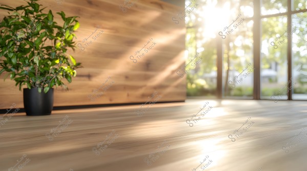 An image of a well-lit room with sunlight streaming in through a large window. On the left side, a green plant in a black pot stands next to a light-colored wooden wall. Sunlight creates beautiful patterns on the wooden floor that stretches across the foreground.