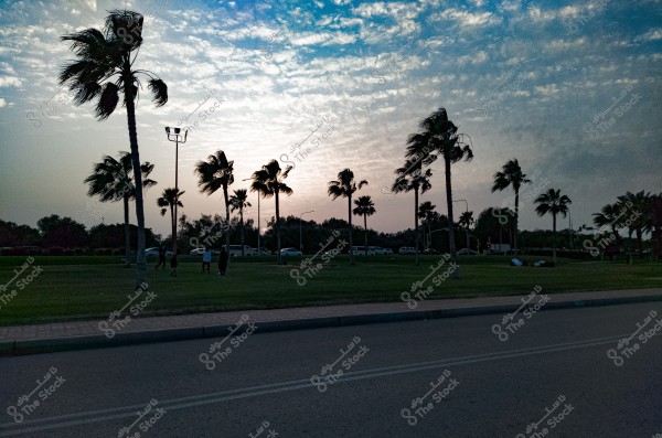 The image shows a landscape at sunset with palm trees swaying in the wind. The sky is a light blue with sunset hues and scattered clouds. In the background, there are low trees and several parked cars near the road. People are seen playing sports on the green grass.