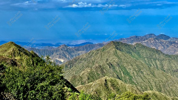 منظر طبيعي لسلسلة جبال خضراء تمتد على طول الأفق تحت سماء زرقاء صافية تتخللها بعض الغيوم الخفيفة. النباتات الخضراء والكثيفة تغطي مقدمة الصورة, بينما تظهر الجبال بتضاريسها المتنوعة وخلفيتها الزرقاء الداكنة.