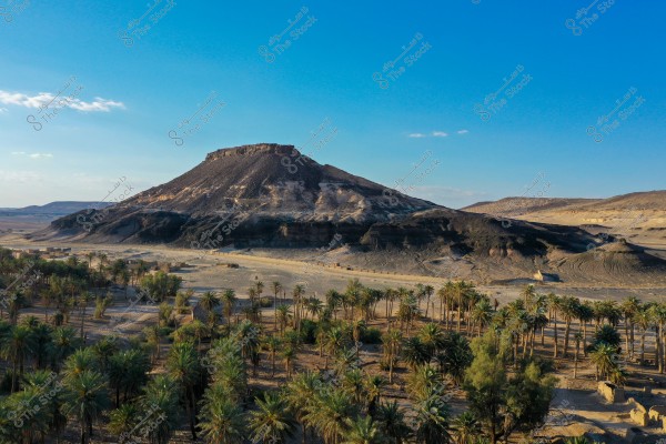 صورة تظهر منظرًا طبيعيًا لصحراء مع جبل مسطح القمة يمتد في الخلفية. تنتشر أشجار النخيل في المقدمة, مما يضفي حيوية على الصورة. السماء زرقاء وصافية مع بعض السحب المتفرقة. التضاريس مزيج من الأرض الرملية والتكوينات الصخرية.