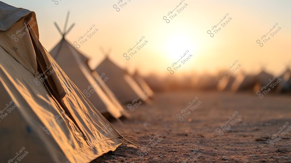 An image of a row of tents standing on a desert landscape during sunset. The tents are in sharp focus in the foreground, while the rest gradually blur into the background. The colors are warm due to the setting sun reflecting off the fabric.