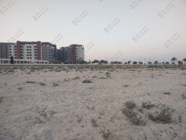 An image of a desert area in the foreground with scattered vegetation. In the background, there are modern multi-story buildings surrounded by palm trees and other trees. The sky is clear at sunset.
