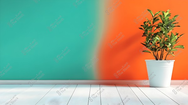 A green plant in a white pot placed on a white wooden floor. The background is divided into two halves, the left side is turquoise and the right side is orange.