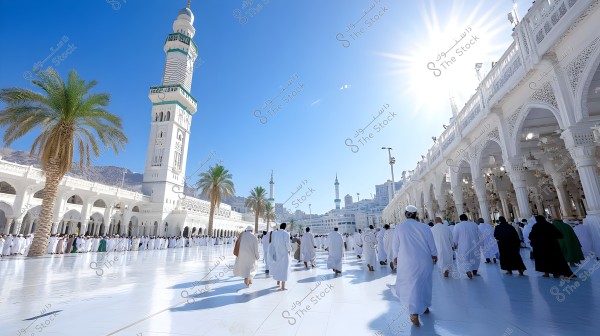 A beautiful view of the Grand Mosque in Mecca, featuring a tall white minaret on the left and palm trees adorning the open courtyard. Many worshippers, dressed in white Ihram garments, are seen walking towards the mosque for prayer. The sky is clear and blue with the sunlight radiating from above, adding a special glow to the scene.