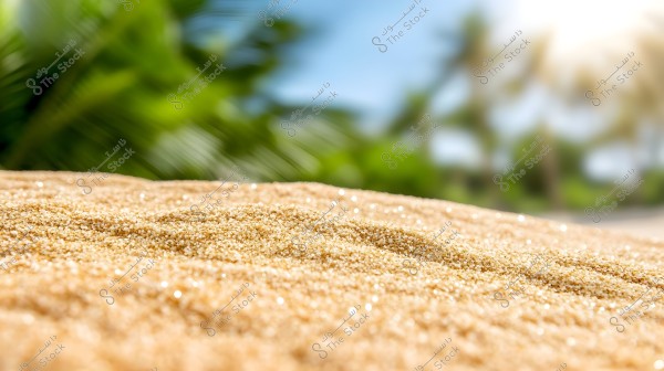 An image showing a golden sandy surface under bright sunlight, with clear details of sparkling sand grains. In the blurred background, there are green palm trees and blue skies, suggesting a beach scene.